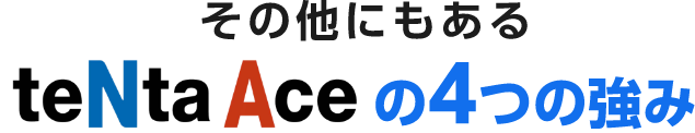 その他にもあるテンタエース4つの強み